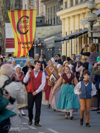 Avignon